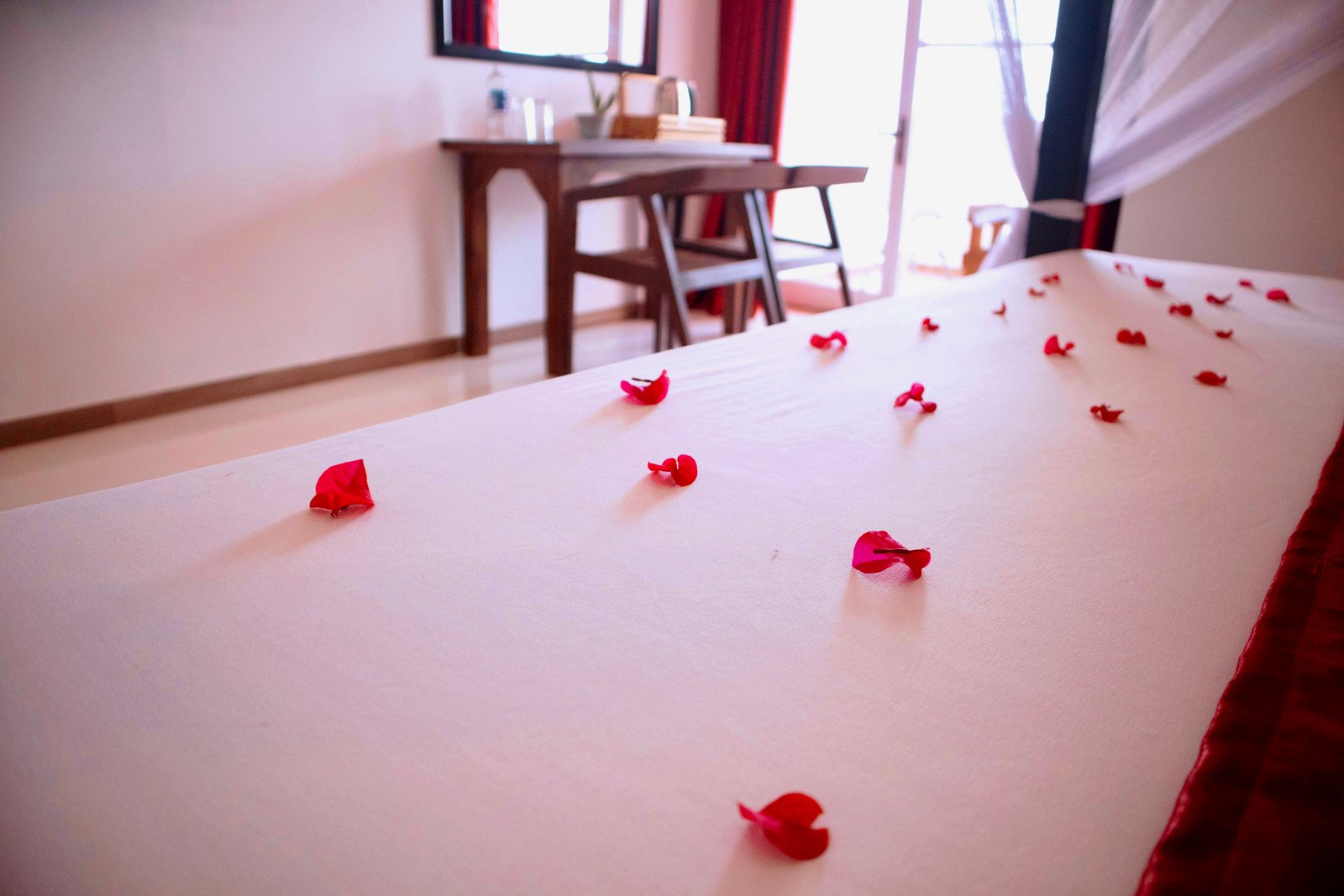 Suite Canopy